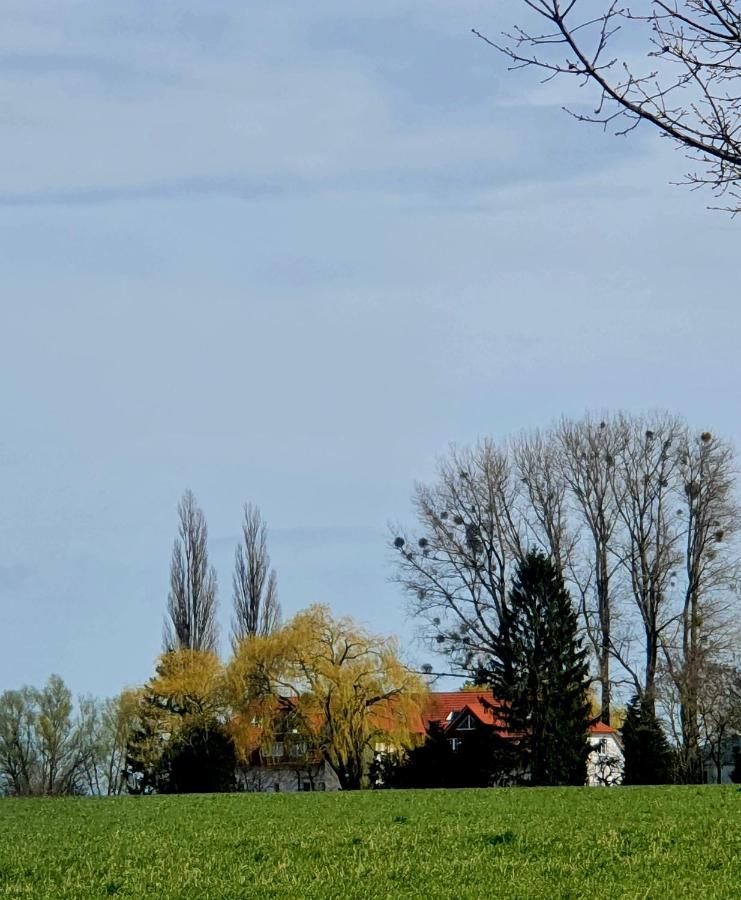 Haus Mueritz, Fewo 12 Moewe Zielow Exteriör bild